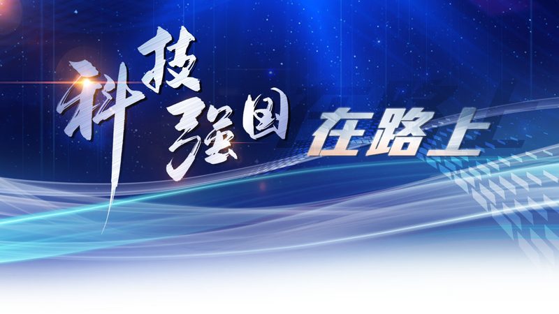 商业智能决策支持平台的选型逻辑与技术验证要点